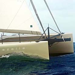 Gazelle